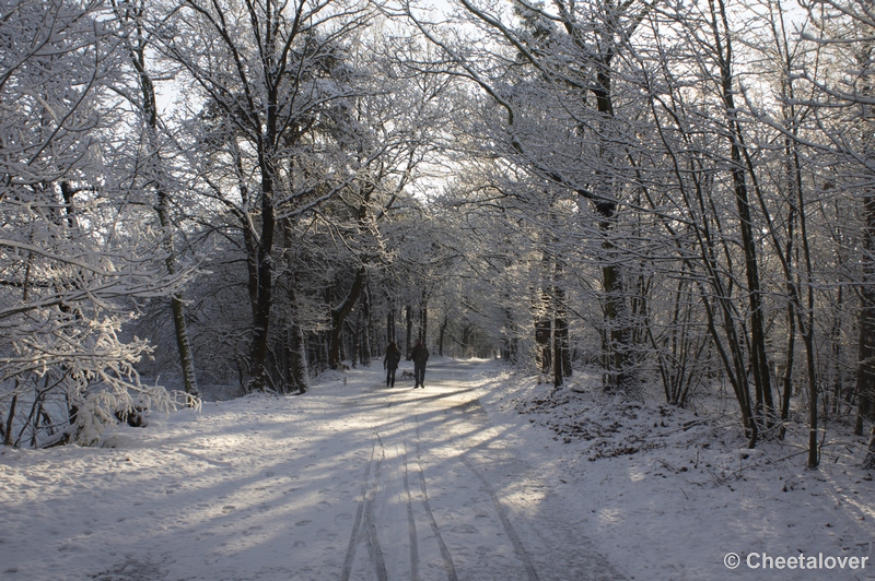 _DSC7442.JPG - Winter in Boswachterij Dorst